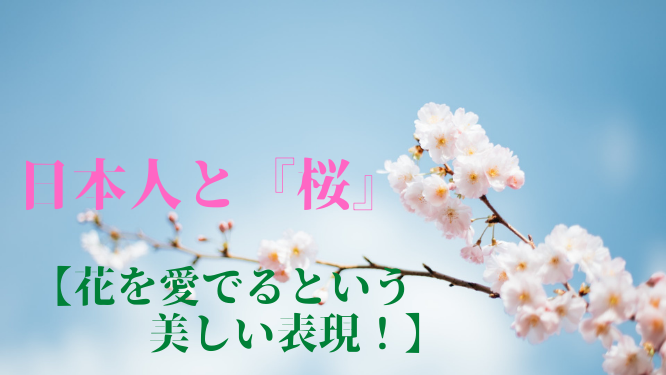 日本人と 桜 花を愛でるという美しい表現 Yazoolifeblog 人間失格おじさん の一読三嘆